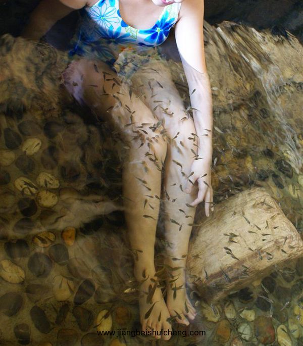 【走遍中國路景點篇】海南路小魚溫泉 【走遍中國路景點篇】海南路小魚溫泉